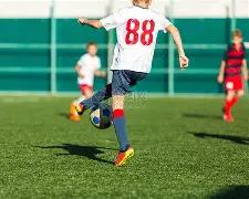 开云体育,资讯,开云体育app,开云体育,开云体育官网,开云体育app,开云体育平台,KAIYUN,SPORTS,kaiyun登录入口