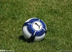 开云体育,资讯,开云体育app,开云体育,开云体育官网,开云体育app,开云体育平台,KAIYUN,SPORTS,kaiyun登录入口