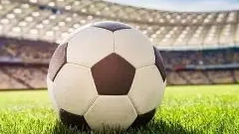 开云体育app 资讯 123240 efg