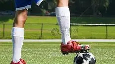 开云体育app 资讯 123851 zbj