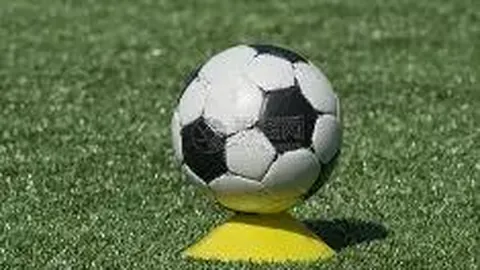 开云体育app 产品 111809 gy2