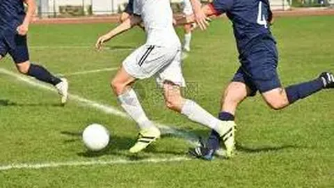 开云体育app 产品 123236 p1z