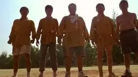 开云体育app 产品 103115 0dh