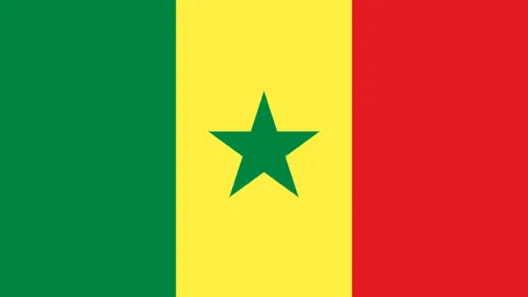 开云体育app 资讯 101850 ayd