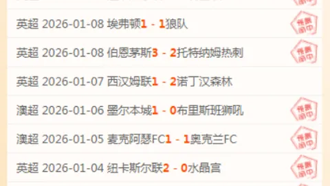 荷兰队史德佩平局纪录紧追阿贝-伦斯特拉