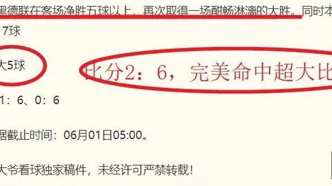 荷兰主场迎战阿尔及利亚开云体育平台：友谊赛6胜5关键对决